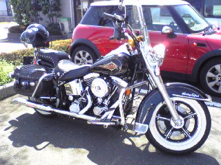 a0099129_16205828.jpg