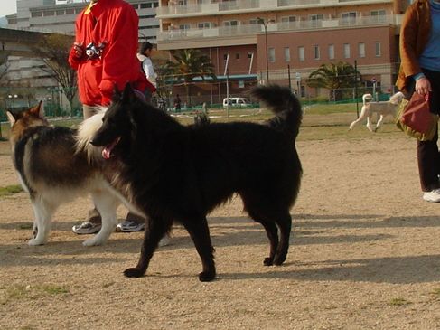 f0088731_16333412.jpg