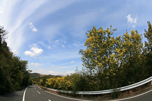 d0029333_20281764.jpg