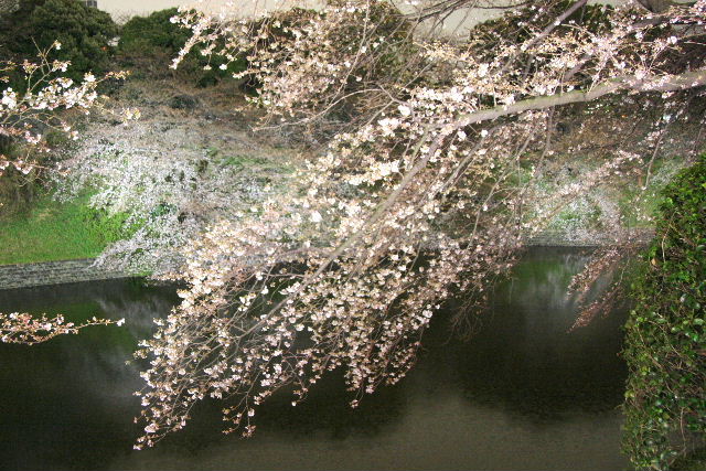 e0064133_21141187.jpg