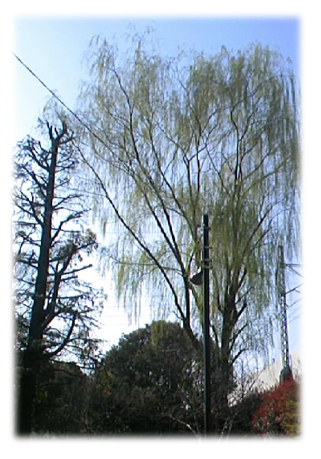 f0034334_18244921.jpg