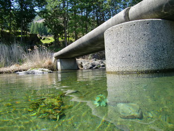 c0183137_22143218.jpg