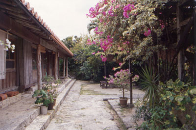 b0170238_2012196.jpg