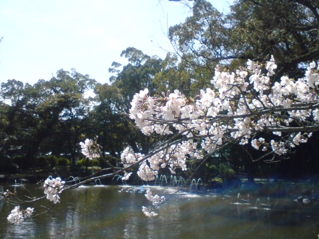 c0029442_18535799.jpg