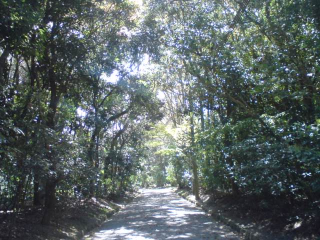 c0029442_23421100.jpg