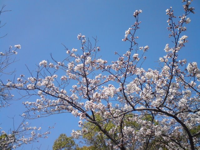 c0029442_234535.jpg
