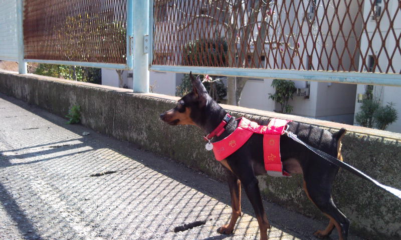 e0150843_23413525.jpg