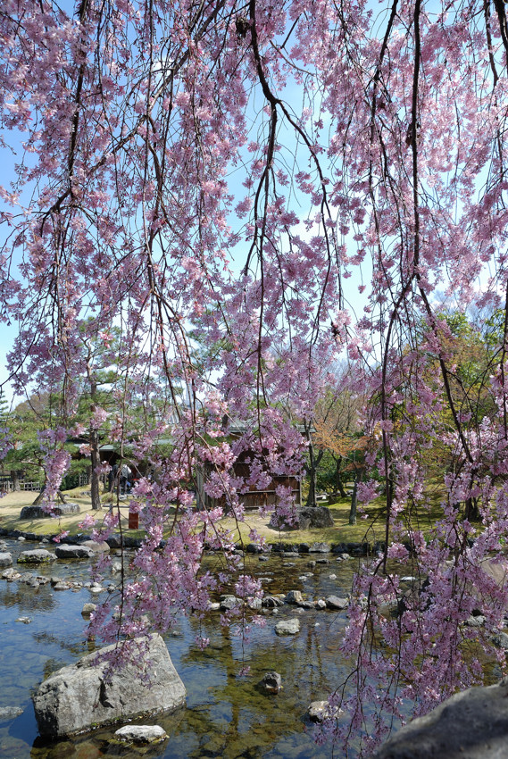 c0171945_2205866.jpg