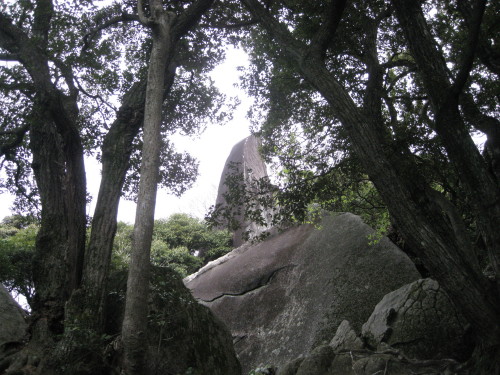 c0179351_712525.jpg