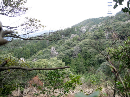 c0179351_725283.jpg