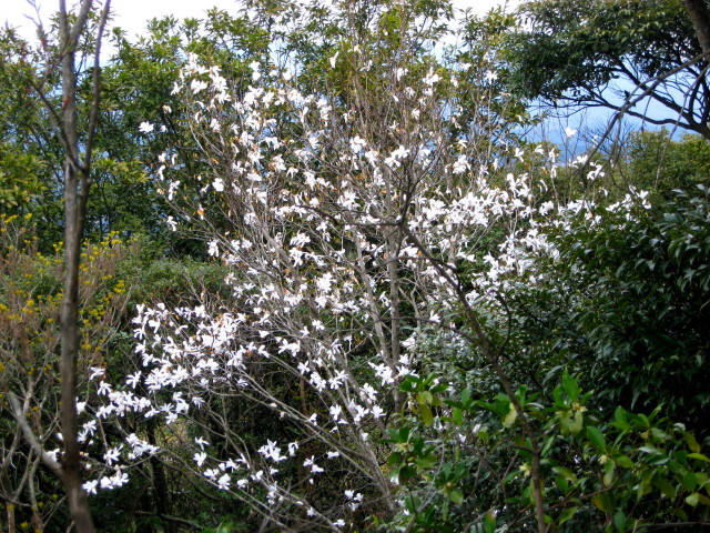 c0179351_7253925.jpg