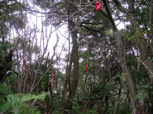 c0179351_8333511.jpg