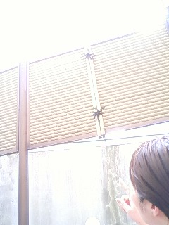 c0121954_1030975.jpg