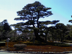 c0121954_23123941.jpg
