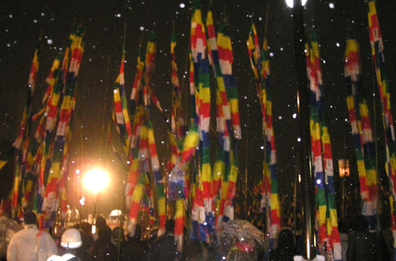 d0134156_10162619.jpg