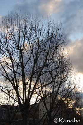 f0099556_2150932.jpg