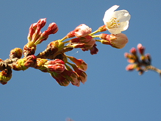 a0021558_2141381.jpg