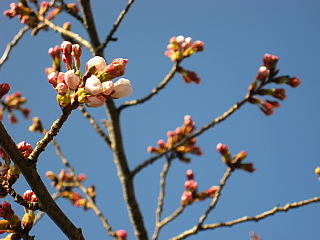 a0021558_21421236.jpg