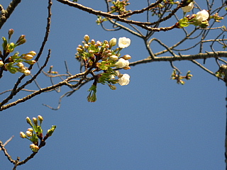 a0021558_2142508.jpg