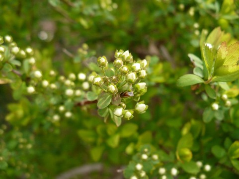 a0063364_22301451.jpg