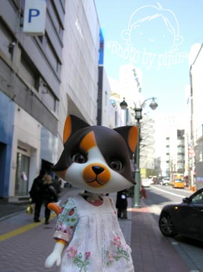 b0059664_9163781.jpg
