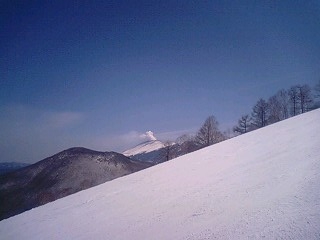 b0165164_113853.jpg