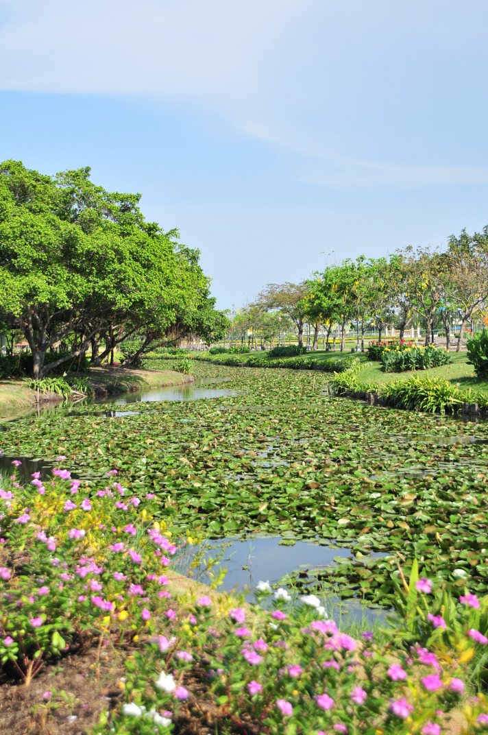 b0149365_1421516.jpg