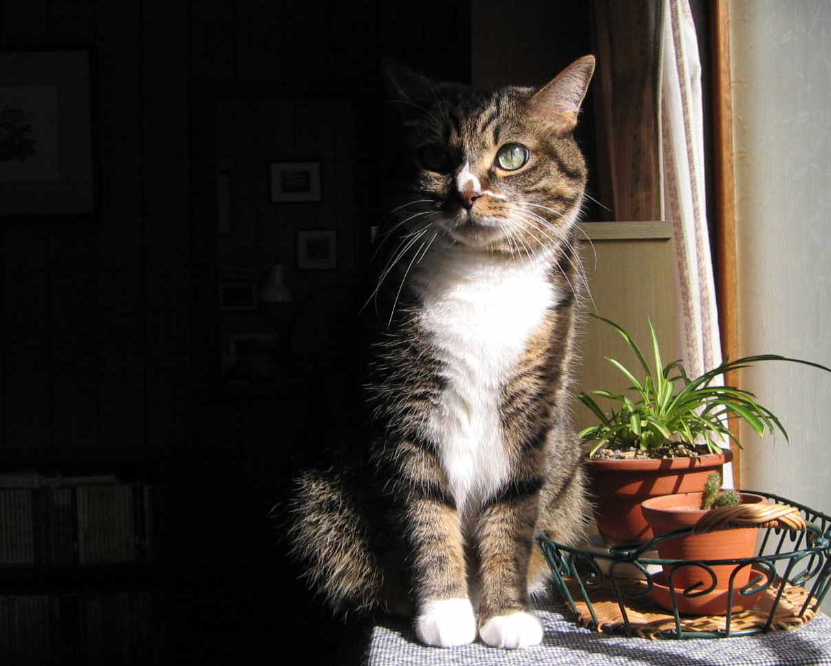 c0148165_229014.jpg