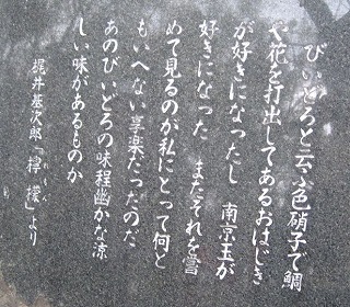e0041168_10382644.jpg