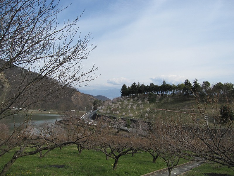 a0104569_21105718.jpg