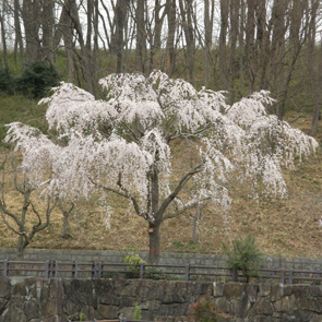 c0122670_015539.jpg