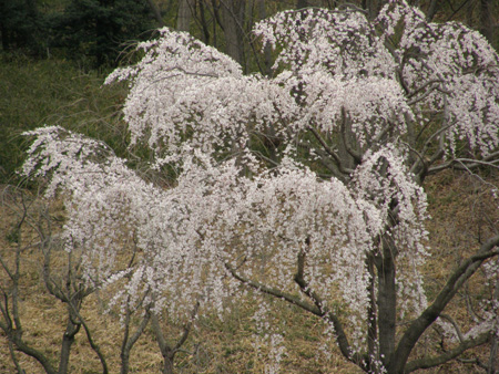 c0122670_0161064.jpg