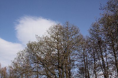 b0053973_118635.jpg