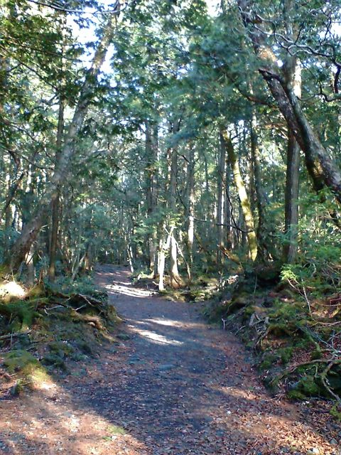 c0082573_11222987.jpg
