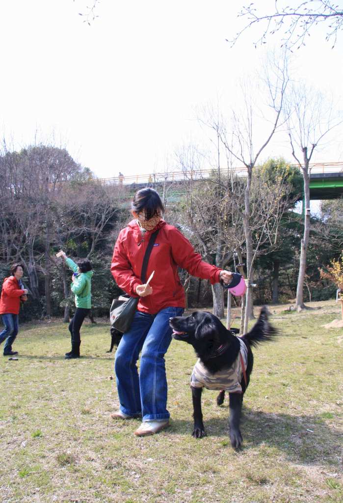 a0051674_23222841.jpg