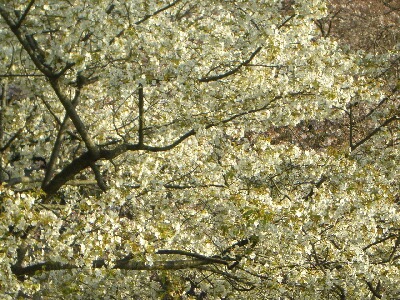 f0055380_19531139.jpg