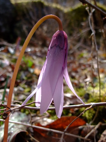 a0043982_18413792.jpg