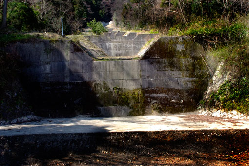 e0074782_2013246.jpg
