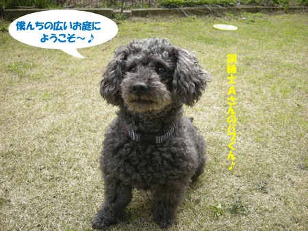 e0066883_22561346.gif
