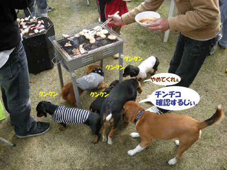 e0066883_23141742.gif