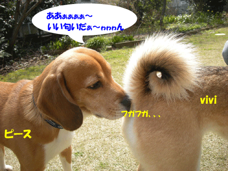 e0066883_23385019.gif