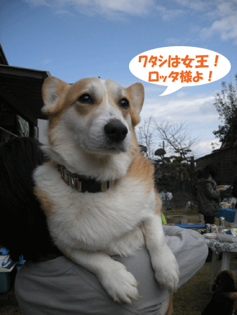 e0066883_23758100.gif