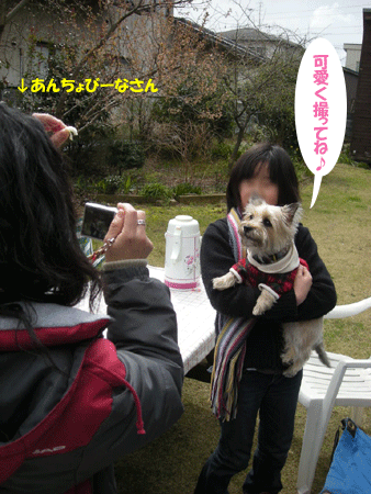 e0066883_2385231.gif