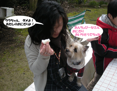 e0066883_2391039.gif