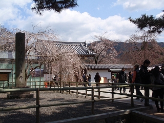 c0105785_21113621.jpg