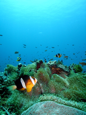 b0146490_18454633.jpg