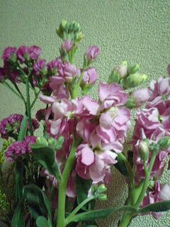 c0139090_1383861.jpg