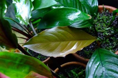 c0074591_2221569.jpg