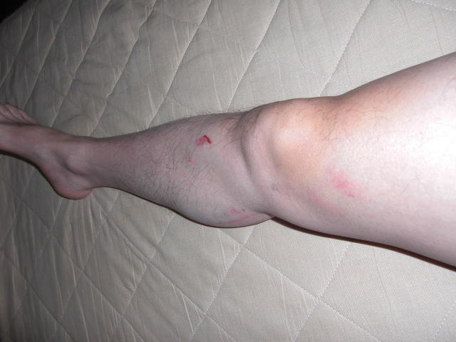 c0087392_2216533.jpg