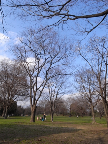 e0152493_2052993.jpg